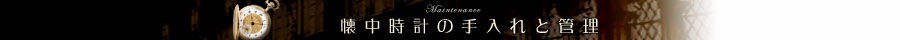 ṽeiX